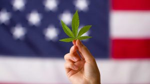 Hoja de cannabis frente a una bandera de EUA